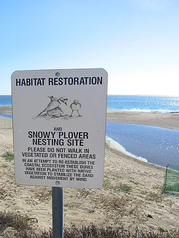 Schilder am Rand des Highway Foto 