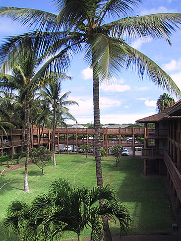 Foto Hotelanlage auf Maui - 