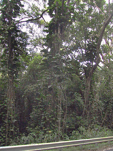 Fotos An den Straßenrändern | 