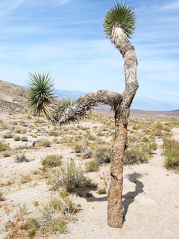 Lone Pine - Panamint Springs