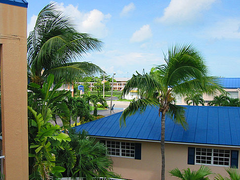 Foto Pool - Key West