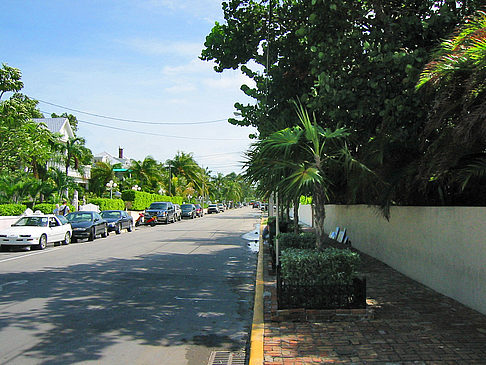 Fotos Palmen am Straßenrand | Key West