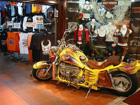 Fotos Stadt bei Nacht | Key West