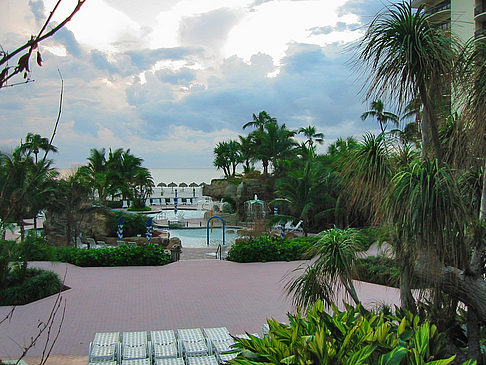 Foto Hotel Marriot - Marco Island