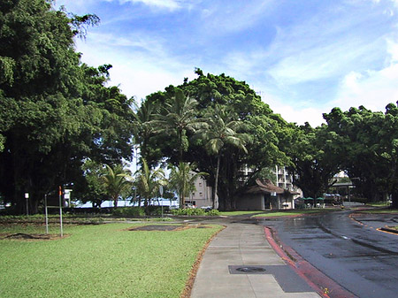 Foto Hawaiis Straßenränder - 