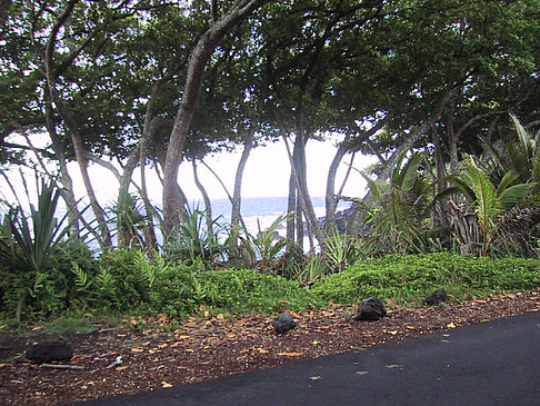 Hawaiis Straßenränder Fotos