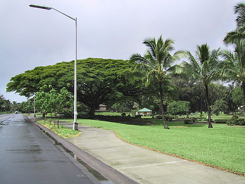 Fotos Hawaiis Straßenränder