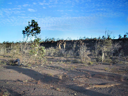 Fotos Hawaiis Straßenränder | 