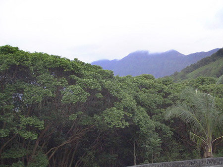 An den Straßenrändern Fotos