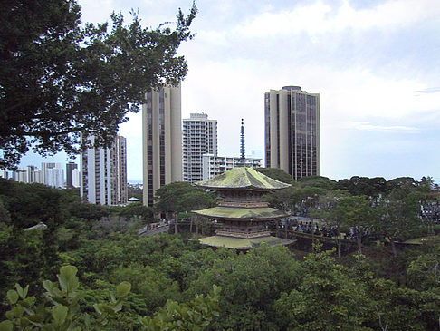 Waikiki Foto 