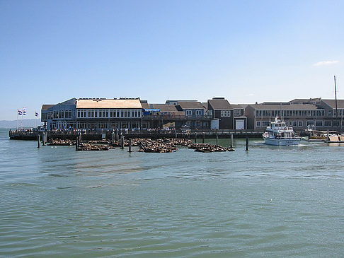 Fotos Fishermans Pier 39 bis 45