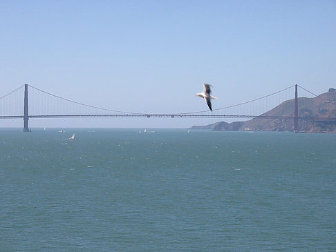 Fotos Golden Gate Bridge | San Francisco