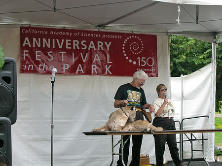 Foto Golden Gate Park mit Botanischen Garten - San Francisco
