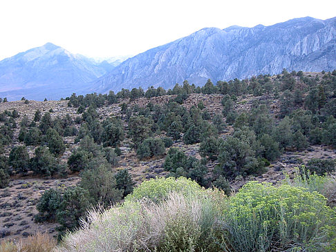 Mono Lake - Bishop Foto 