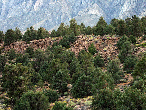 Foto Mono Lake - Bishop - 