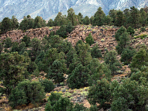 Mono Lake - Bishop Foto 