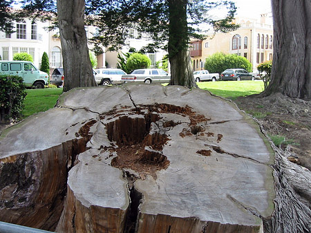 Fotos Palace of Fine Arts