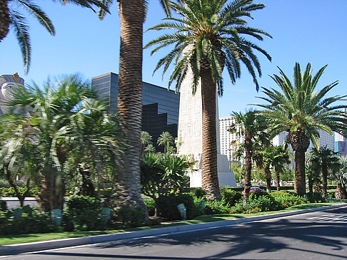 Las Vegas aus dem Auto Fotos