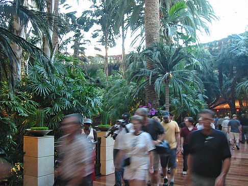 Hotel Mirage Foto 