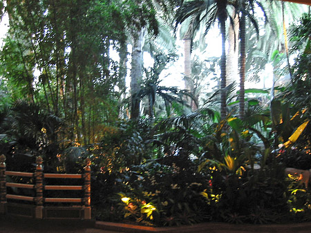 Fotos Hotel Mirage | Las Vegas